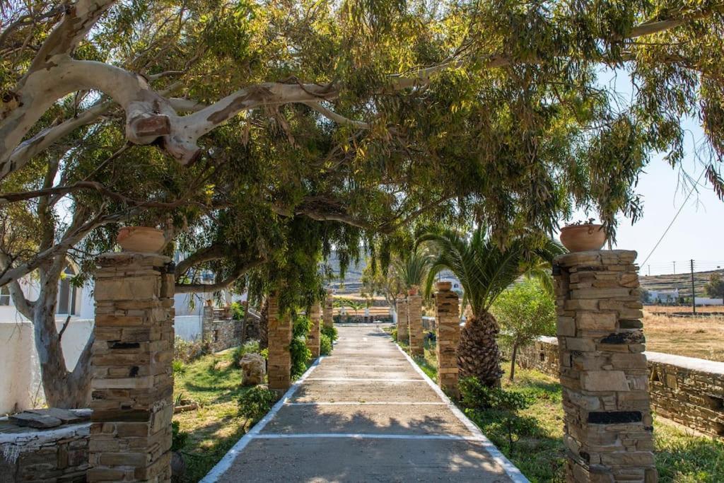 Θἔρως Apartment Tinos Ngoại thất bức ảnh